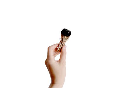 Hand holding herb bundle of sage smudge stick. Isolated image on white backgroundの写真素材