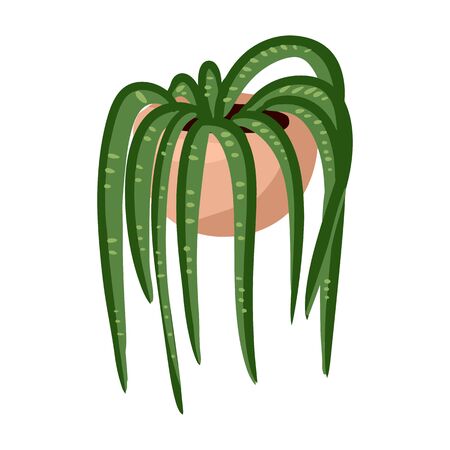 Hygge potted succulent plant. Cozy lagom scandinavian style plant imageのイラスト素材