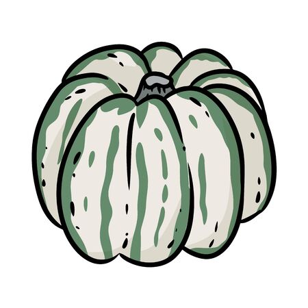 Cute halloween green and white pumpkin hand drawn doodle. Isolated on white backgroundのイラスト素材
