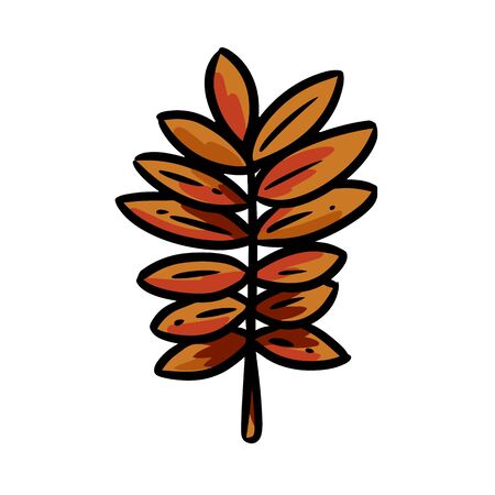 Cute cartoon drawn autumn rowan leaf. Isolated graphic imageのイラスト素材