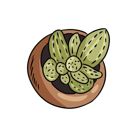 Hygge potted cactus plant doodle top view. Comic style cozy lagom scandinavian style succulent isolated artのイラスト素材