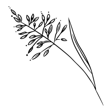 Field herb doodle. Tattoo design. Vector isolated graphic image. Media graphic iconのイラスト素材