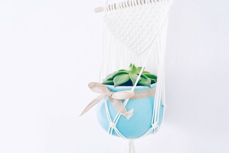 Macrame and plant wall hanger on white background. Boho style hand made textile knotting interior elementの写真素材
