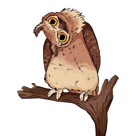 Owl with head turned sitting on the branch. Funny comic style cute owl bird doodle. Vector sketch illustration on white background.のイラスト素材