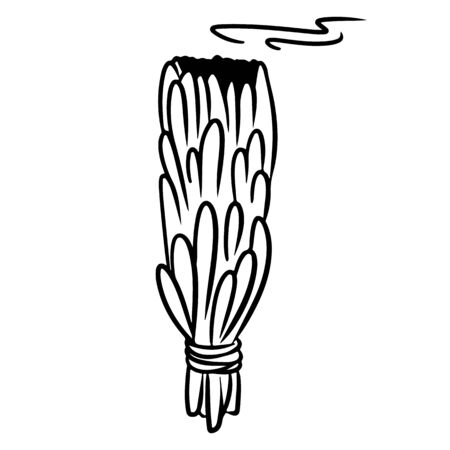 Sage stick hand drawn smudge doodle. Vector isolated cartoon white sage herb bundle. Smoking cleansing magical wiccan indigenous itemのイラスト素材