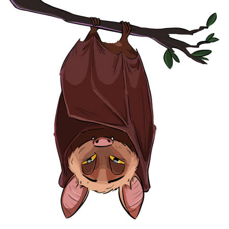 Vector linear illustration of the flying bat hanging upside down. Funny comic style cute outline bat doodle. Hand drawn sketch of sleepy bat isolated on white background.のイラスト素材