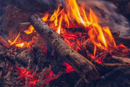 Camping fire cozy closeup view. Outdoor wildlife lifestyle. Woods burning in flames stock photo