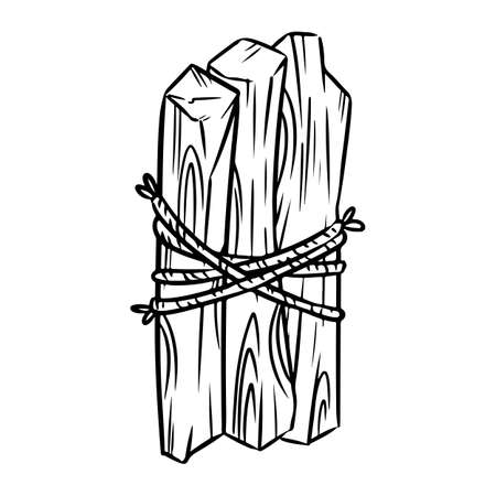 Palo Santo tied with thread. Holy wood tree aroma sticks from Latin America. Smudge burning incense bundle vector imageのイラスト素材