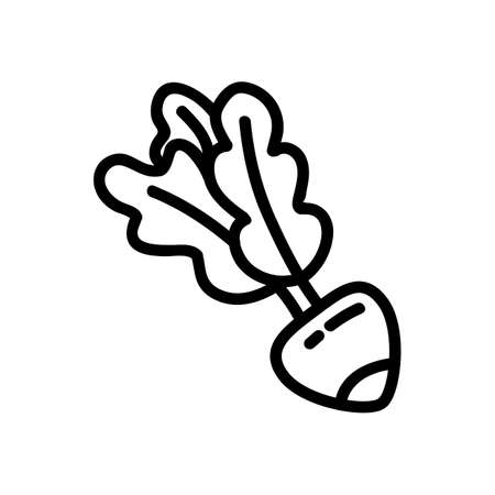 Radish flat outlined icon. Vector vegetable logo isolated on white background. Vegan food symbol, glyph for webのイラスト素材