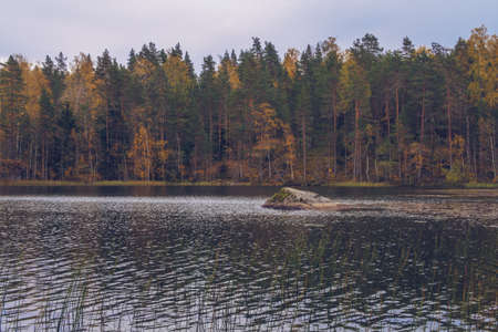 Lake in Karelia among larch trees, Russia. Beautiful autumn season landscape with river and forest stock photoの写真素材