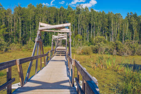 Picturesque forest wooden bridge through the overgrown swamp. Green grassland countryside stock photography. Russia, Moscow.の写真素材