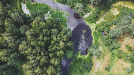 Aerial drone view on green forest and flowing river. Beautiful summer season landscape with green trees. Russia, Moscow region. Camping and hiking outdoors lifestyle stock photo.の写真素材