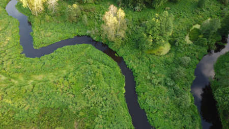 Aerial drone view on green forest and flowing river. Beautiful summer season landscape with green...