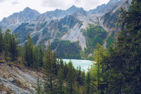 Mountain forest landscape with lake view and mountain ridge in the background. picturesque nature view. Altai mountains, Russiaの写真素材