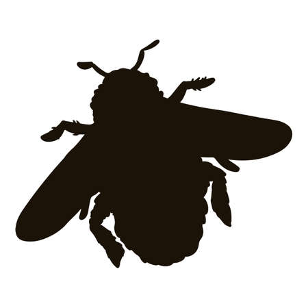 Bumble bee silhouette icon. insect contour image. Hand drawn isolated image for prints, designs, cards. web, mobileのイラスト素材