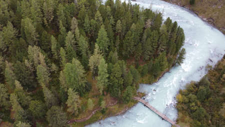 flowing forest mountain river. Blue Kucherla river in Belukha national park, Altai mountains,...