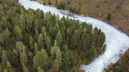 flowing forest mountain river. Blue Kucherla river in Belukha national park, Altai mountains, Siberia, Russiaの写真素材