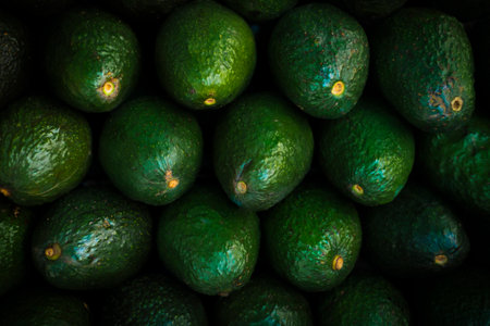 Close up of fresh dark green avocados stacked in bulk on display at the market with visible stem endsの写真素材