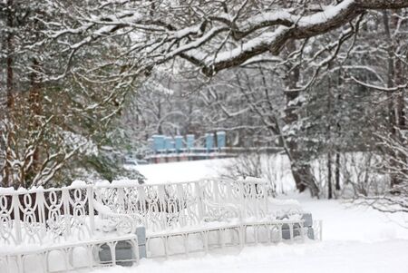 TSARSKOYE SELO, SAINT-PETERSBURG, RUSSIA - JANUARY 27, 2015: The  Catherine Park. Winter period. The Tsarskoye Selo is State Museum-Preserve. Located near Saint-Petersburgのeditorial素材