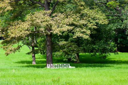 TSARSKOYE SELO, SAINT-PETERSBURG, RUSSIA - JULY  30, 2013: The Catherine Park. Summer period. The Tsarskoye Selo is State Museum-Preserve. Located near Saint-Petersburgのeditorial素材