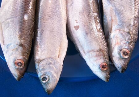 Four sprats on the dark blue plate