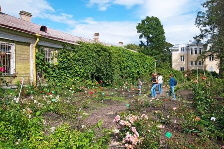 SAINT-PETERSBURG, RUSSIA, AUGUST 3, 2016: People look at the different sorts of roses in the rosarium in Peter the Great Botanical Garden (Botanic Gardens of the Komarov Botanical Institute)のeditorial素材