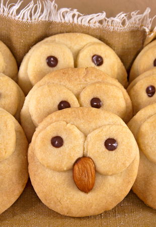 Homemade cookies with bird faces and almonds as a beakの写真素材