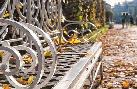 Tsarskoye Selo, Saint-Petersburg, Russia - October 15, 2019: Decorative white bench with autumn yellow leaves in The Catherine Park in front of The Catherine Palace in The State Museum Preserveのeditorial素材