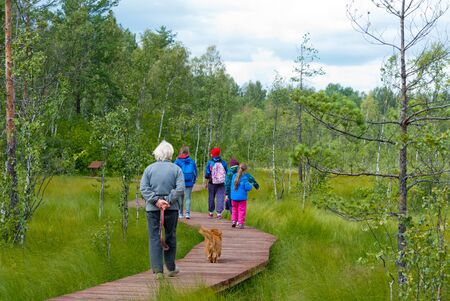 Sestroretsk swamp, Saint-Petersburg, Russia-August 4, 2019: People walking with a dog on wooden pathway on the territory of Sestroretsk swampのeditorial素材