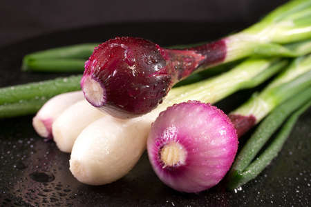 Green onions with white and purple heads on a black background. Close up imageの写真素材