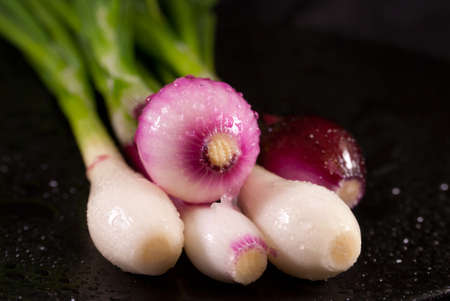 Green onions with white and purple heads on a black background. Close up imageの写真素材