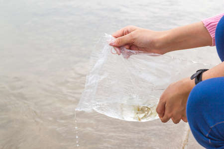 Women hand make merit by releasing fish