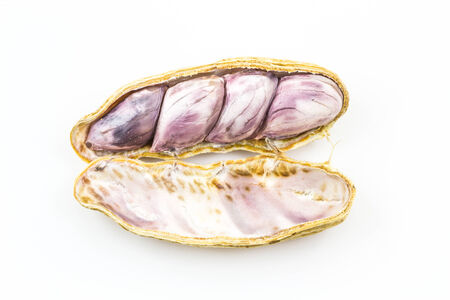 Boiled peanut on white 