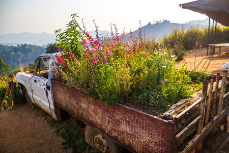 Old truck, Symbol of Monjam resort, Chiangmai, Thailandの写真素材