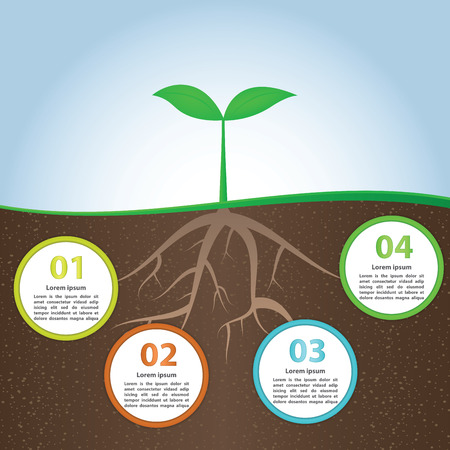 Plant And Root Infographic Background Design Template, VECTOR, EPS10のイラスト素材