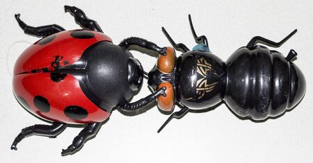 Fighting scene of  ladybug and fly toys for children