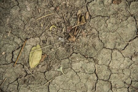 Soil texture in the gardenの写真素材