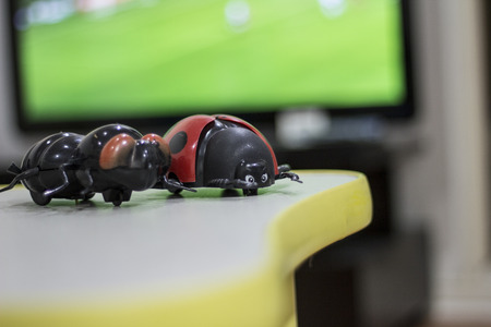 Toys ladybug and fly for childrenの写真素材