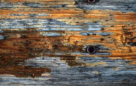 Wood Texture Background
