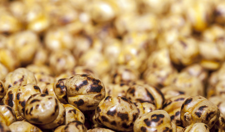 Roasted Chickpeaの写真素材