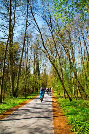 Forest and Trees on Road and Riding Bikeの写真素材