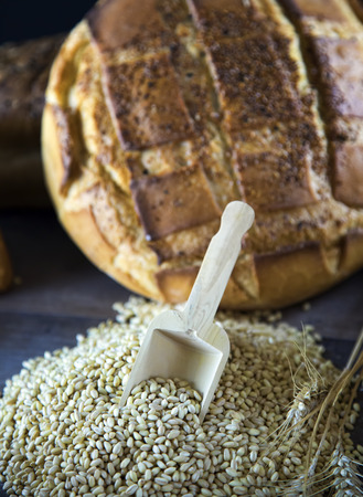 Bread and Wheat