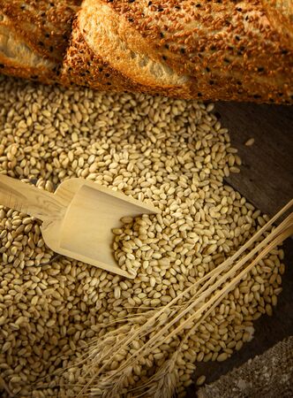 Bread Food and Wheat Concept Backgroundの写真素材