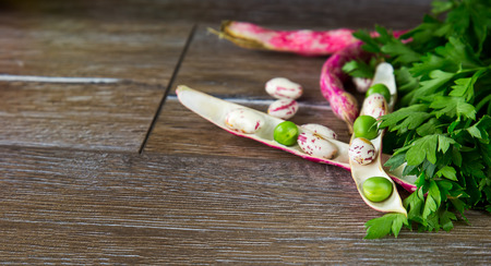 Parsley and Beansの写真素材