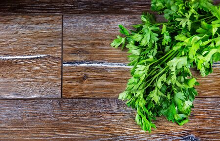Parsleyの写真素材