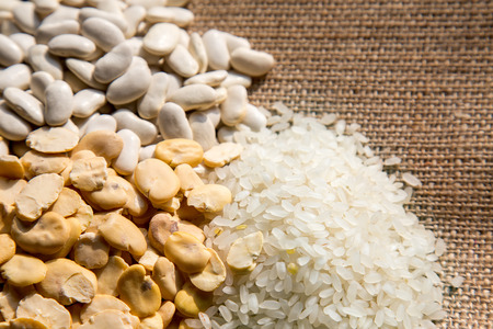 Legumes Dlicious and Healthy Mix Food