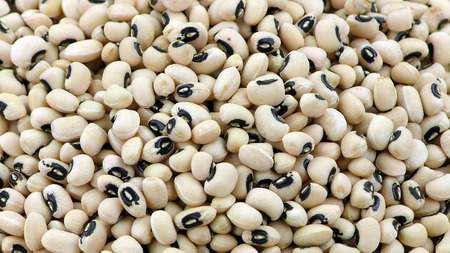 Delicious Mixed of Legumes Food