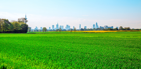 Green Field and City Frankfurt Germany Towersの写真素材