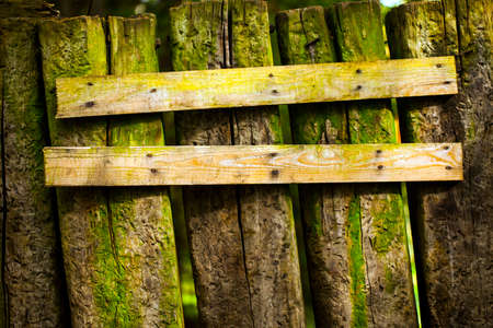 Wooden Background Textureの写真素材