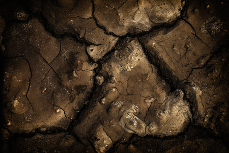Cracked Soil Background Texture